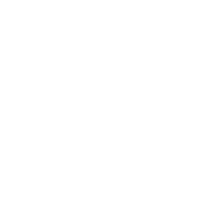 Icon Expertise ein Zahnrad mit einer Person darin und Glühbirne